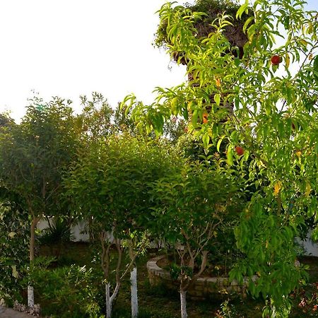 Kostas' Garden Apartment Roda  Exterior foto
